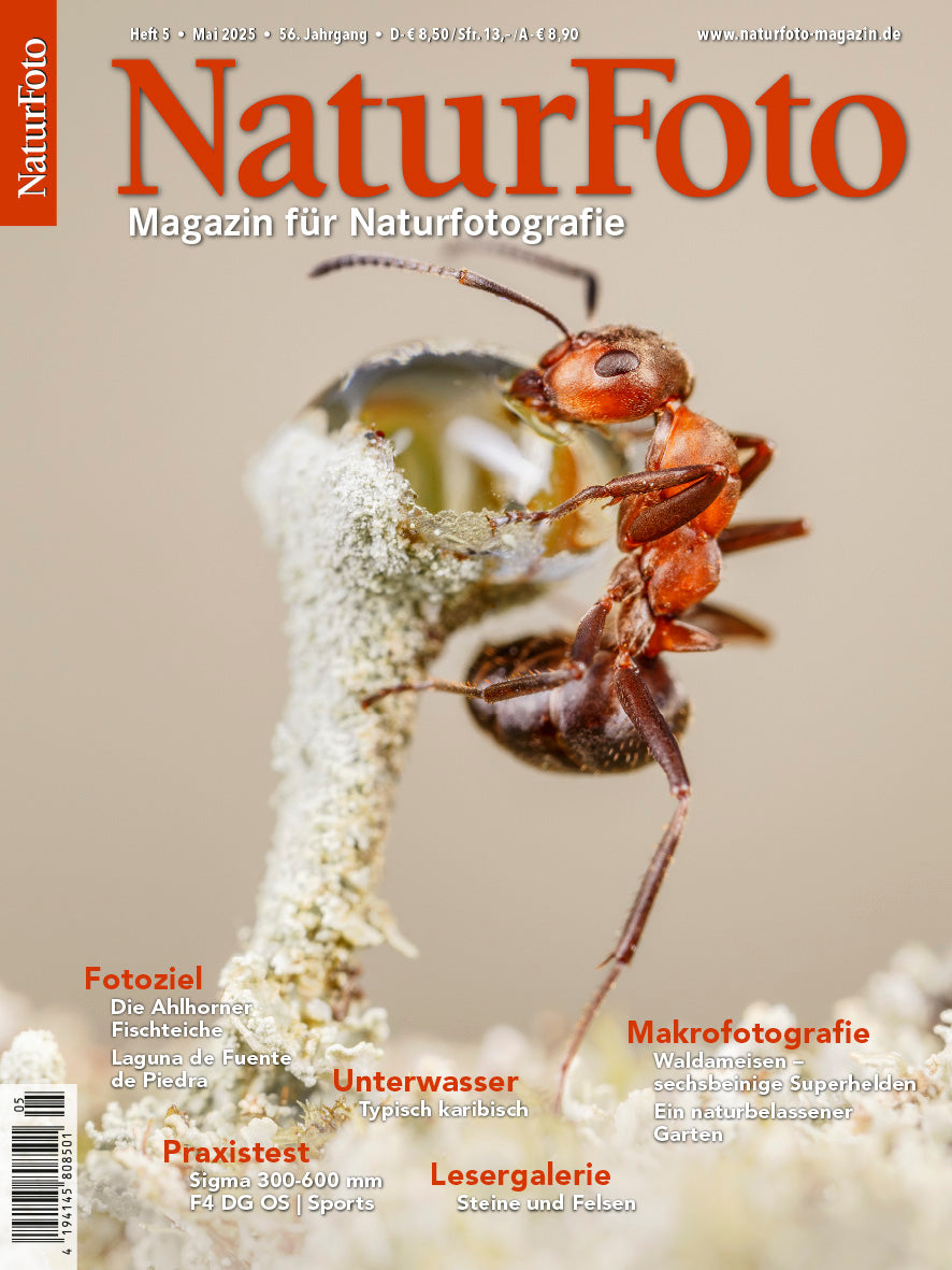 NaturFoto 5/2025